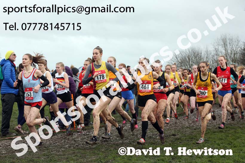 Senior girls 2019 New Balance English Schools Cross Country Champs, Temple Newsam, Leeds. Photo:  David T. Hewitson/Sports for All Pics